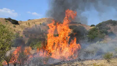 Bursa İznik’te makilik alanda yangın paniği!
