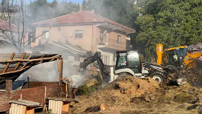 Ankara'da besi çiftliği yanarak küle döndü!
