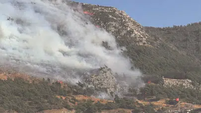 Hatay'da orman yangını çıktı