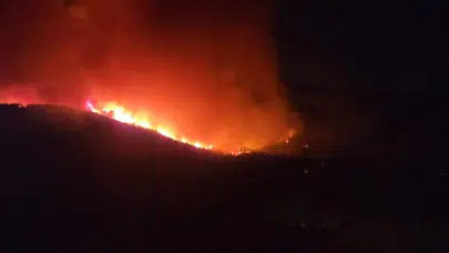 Hatay'da orman yangını: Evler tahliye ediliyor