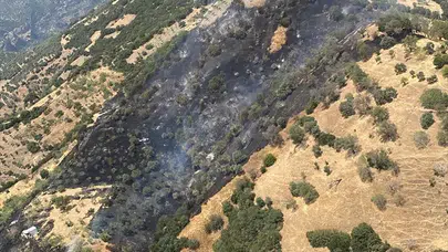 Aydın'daki tarım arazisi yangınını kayınpederine kızan gelin çıkardı