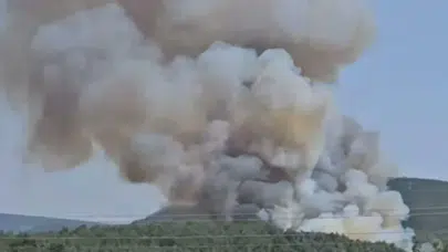 İzmir Menderes'te orman yangını