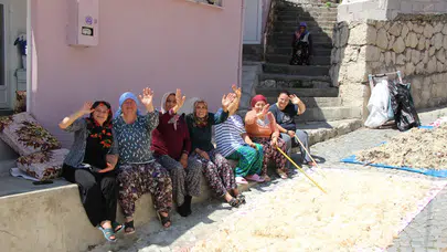Kadın muhtardan geleneksel dayanışma örneği: Amasya’da yünler imeceyle havalandırılıyor
