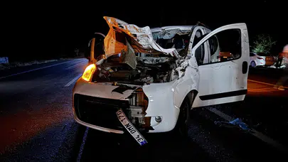 Bingöl'de otomobil ata çarptı: 1 ölü