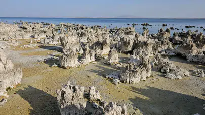 Van Gölü’nde kuraklık etkisi: Doğal yaşam ve ekonomi tehdit altında!