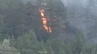 Bolu Mengen’deki orman yangını kısmen kontrol altında