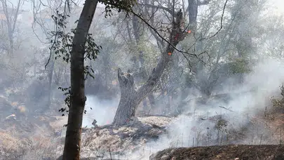 Nevşehir'de örtü yangını! Kontrol altına alındı