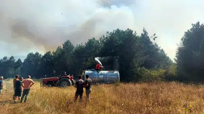 Sakarya'da orman yangını