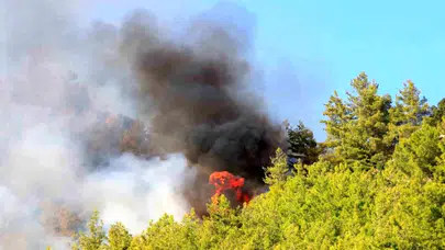 Antalya Serik'teki orman yangınına ilişkin 1 gözaltı
