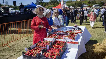 Sakarya Pamukova’da Çilek Festivali coşkusu