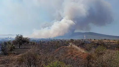 Çanakkale'de tarım arazisinde yangın!