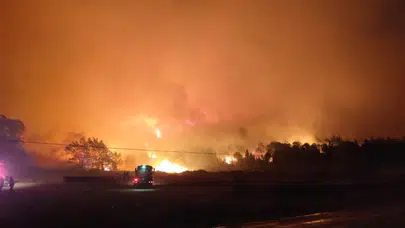 Bursa Karacabey'de orman yangını: Boğaz yolu trafiğe kapatıldı