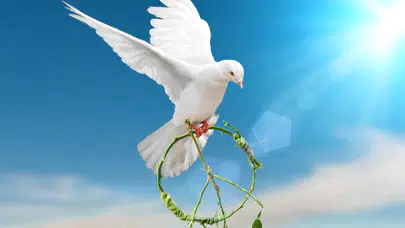 1 Eylül Dünya Barış Günü: Savaşsız, sömürüsüz bir dünya mümkün!