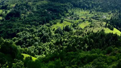 Giresun'da yamaçtan yuvarlanan kadın hayatını kaybetti