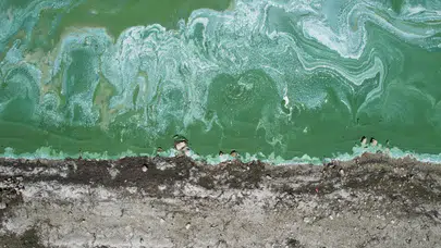 Terkos Gölü’nde yeşil tabaka ve köpük oluşumu endişe yarattı