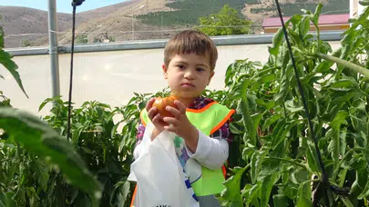 Bayburt’ta özel öğrenciler serada sebze topladı