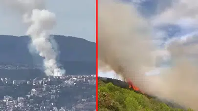 Kocaeli'de orman yangını!