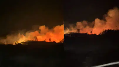 Bursa'da sazlık yangını!