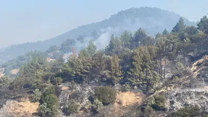 Denizli'deki orman yangını 4. gününde: Ekiplerin müdahalesi sürüyor!