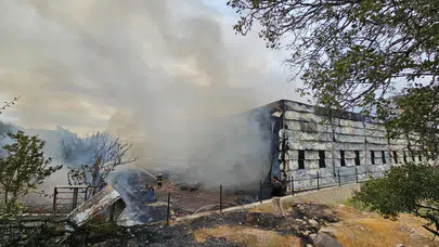 Kayseri'de mobilya fabrikasında yangın çıktı!