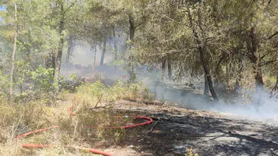 Çıkan orman yangını söndürüldü