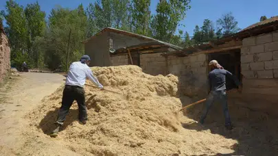 Tercan’da kışa hazırlık: Çiftçiler samanları balyalayarak depoluyor