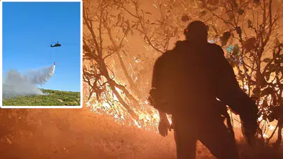 Diyarbakır'da orman yangını!