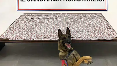 Denizli Haber Uyuşturucu Operasyonu: Binlerce uyuşturucu hap ele geçirildi