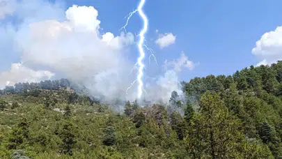 Iğdır'da hayvan otlatırken yıldırım isabet eden çiftçi can verdi!