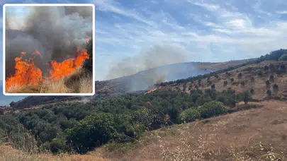 Balıkesir Erdek’te 100 dönümlük alanda yangın!