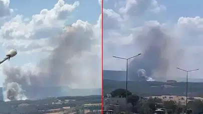 Çanakkale orman yangını kontrol altında