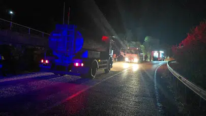 Bursa'da otluk alanda yangın!