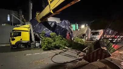 Manisa'da vinç devrildi: Operatör yaralandı