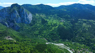 Küre Dağları'nda yeni bitki türü keşfedildi!