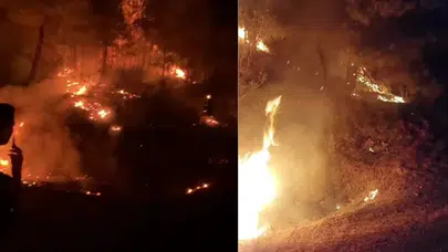 Antalya Gazipaşa'da ormanlık alanda yangın çıktı