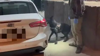 Samsun’da Tony 470 gram metamfetamin ele geçirdi