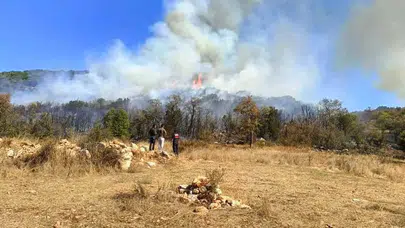 Burdur'da orman yangını: Ekipler müdahale ediyor