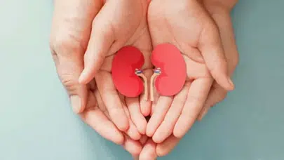 Organ bağışında yeni dönem: Başvuru e-devlet ve e-nabız üzerinden yapılabilecek!