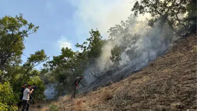Bingöl'de yangın paniği son buldu