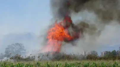 Antalya'da korkutan yangın!