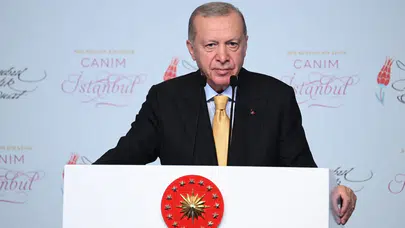"Balya balya avroları, dolarları millete nasıl açıklayacaksın?"