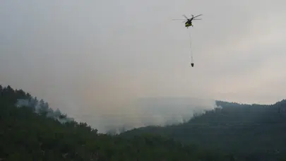 Kastamonu'daki orman yangını 3 gündür sürüyor!