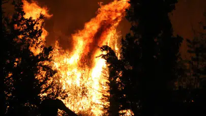 Antalya'nın Aksu ilçesinde orman yangını!