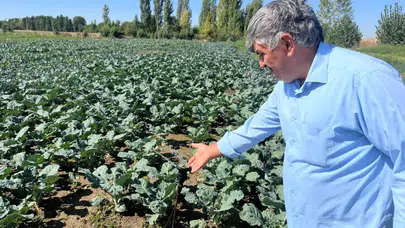 Eskişehir’de çiftçilerin kuyu suları 20 metrelere indi