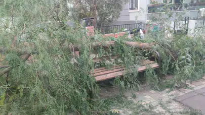 İzmir Ödemiş’te rüzgar faciası: Devrilen ağaç 2 kişiyi yaraladı