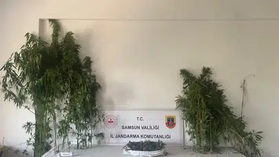 Samsun’da uyuşturucu operasyonu