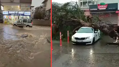 İzmir'de sağanak ve fırtına çilesi: Ağaçlar devrildi, röğarlar taştı