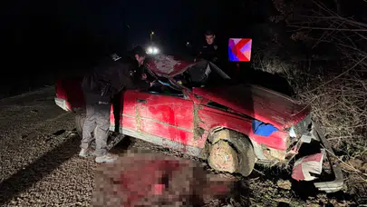 Sakarya Taraklı'da feci kaza: Otomobil ağaca çarptı, 1'i ağır 3 yaralı!
