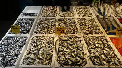 Havalar soğudu, balık tezgahları canlandı