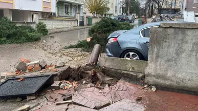 Kocaeli’de fırtına felaketi: 12 metrelik ağaç otomobilin üzerine devrildi